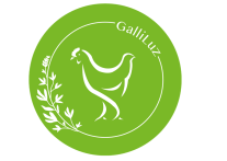 Das Logo vom GalliLuz-Projekt